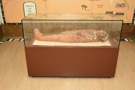 Egyptian mummy gallery